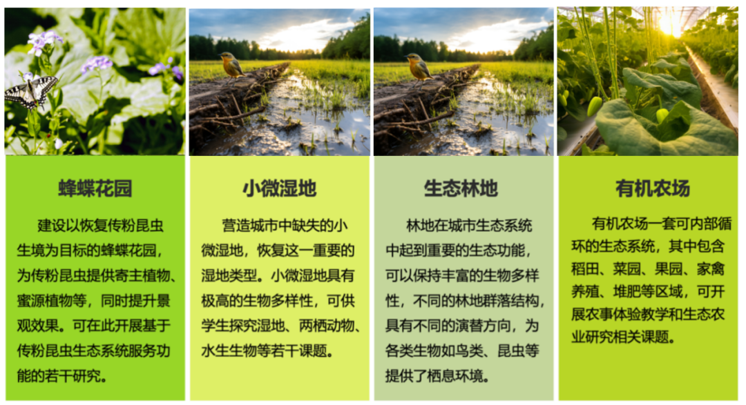 杭州鼎文學校